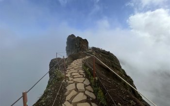 Vegan Friendly Tour Madeira