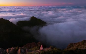 Vegan Friendly Tour Madeira