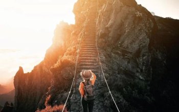 Vegan Friendly Tour Madeira