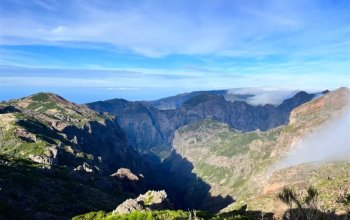 Vegan Friendly Tour Madeira