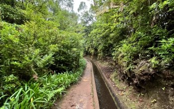 Vegan Friendly Tour Madeira