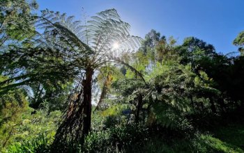 Vegan Friendly Tour Madeira