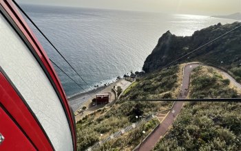 Vegan Friendly Tour Madeira