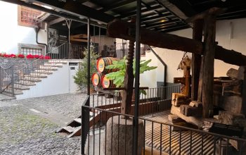 Vegan Friendly Tour Madeira
