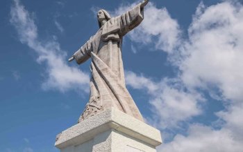 Vegan Friendly Tour Madeira