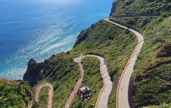 Vegan Friendly Tour Madeira