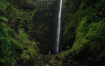 Vegan Friendly Tour Madeira
