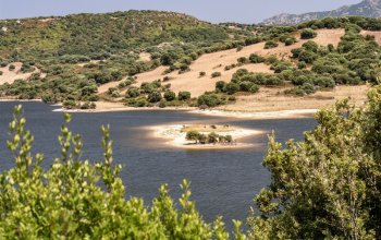 Příroda severní Sardinie