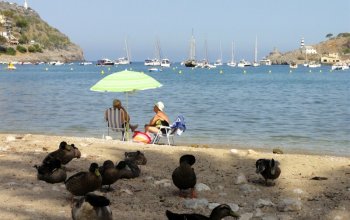 Mallorka se vším všudy