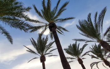 Mallorka se vším všudy