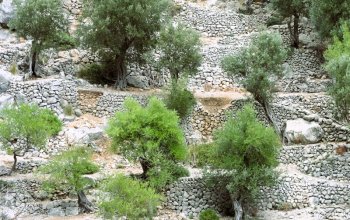 Mallorka se vším všudy