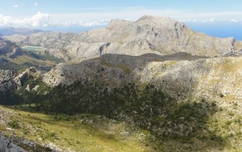 Mallorka se vším všudy