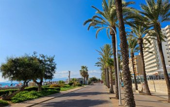 Mallorka se vším všudy