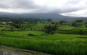Top Insta Bali