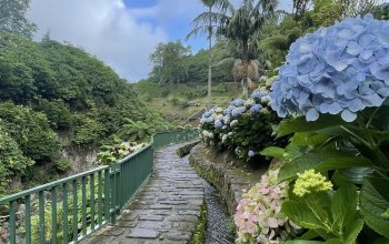 Azory - Sao Miguel