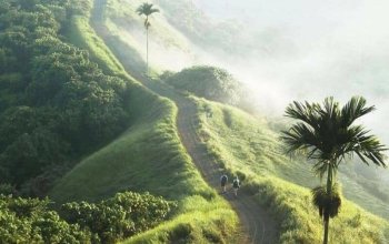 Top Insta Bali