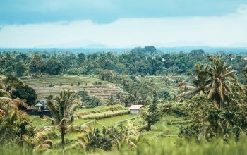 Top Insta Bali