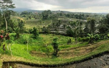 Top Insta Bali