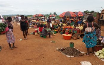 Angola Tour