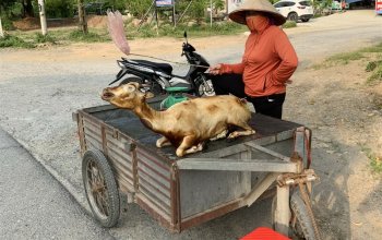 Roadtrip po TOP krásách Vietnamu