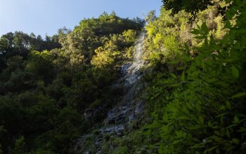 Madeira