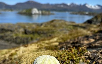 Trip around northern Norway