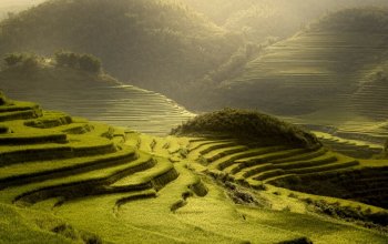 Vietnam – Na vlastní kůži