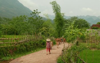 Vietnam – Na vlastní kůži