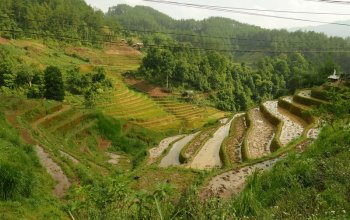 Vietnam – Na vlastní kůži