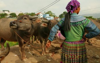 Vietnam – Na vlastní kůži