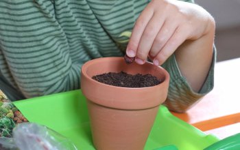 Craftiry: DIY dárková sada pro děti: Zahradník