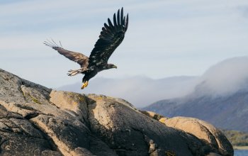 Norsko - Lofoty za polární září