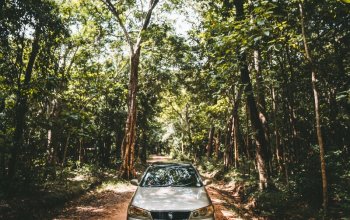 11denní okruh Srí Lankou