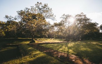 11denní okruh Srí Lankou