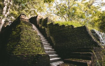 11denní okruh Srí Lankou