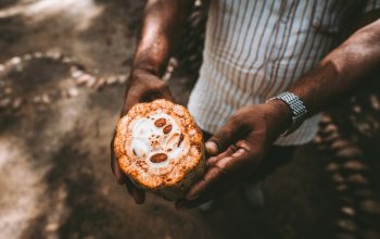 11denní okruh Srí Lankou