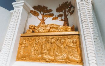 11denní okruh Srí Lankou