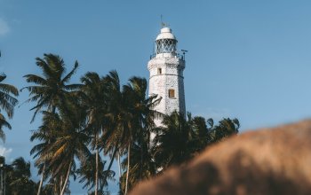 11denní okruh Srí Lankou