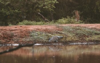 11denní okruh Srí Lankou