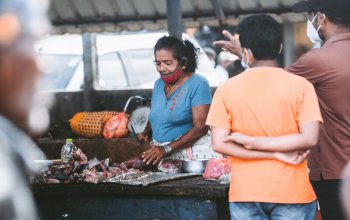 11denní okruh Srí Lankou