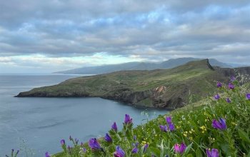 Madeira