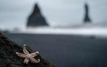 Island a Westfjords