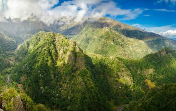 Madeira & low cost