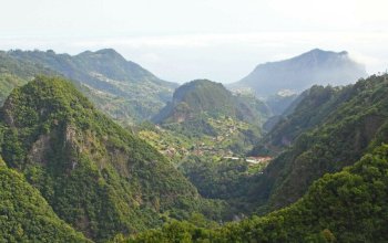 Madeira & low cost