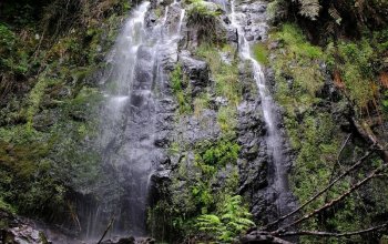 Madeira & low cost