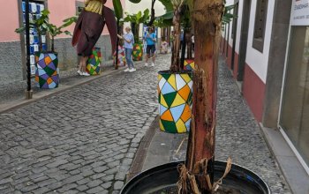 Madeira & low cost