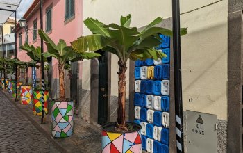 Madeira & low cost