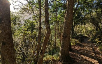 Madeira & low cost