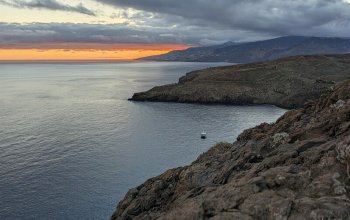 Madeira & low cost