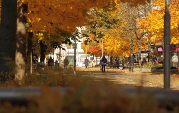 Venkovní úniková hra: Černý panter